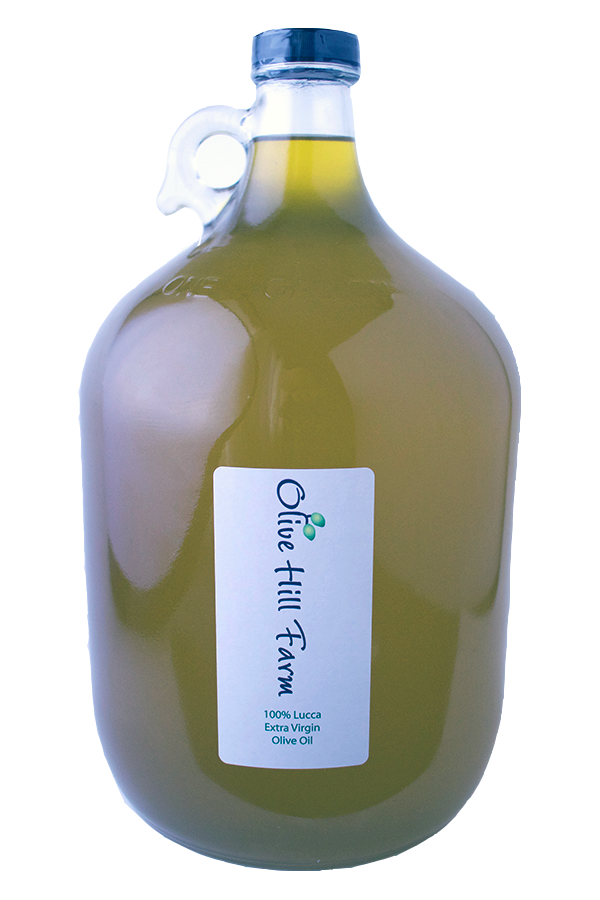 Bulk Olive Oil – Olive Hill Farm